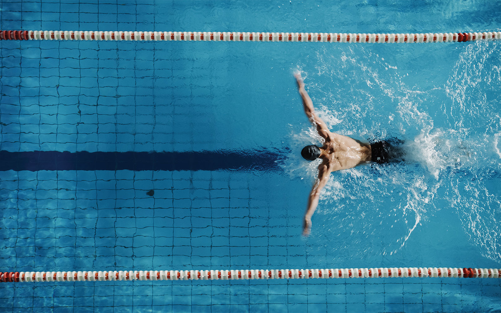 Swimmer doing butterfly stroke in an Olympic pool