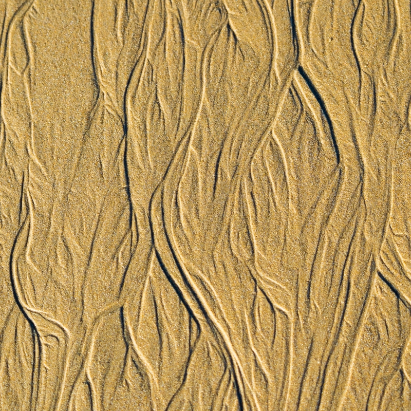 Close up abstract image of patterns in the sand