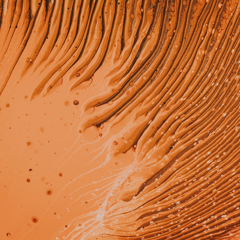 orange sand dune