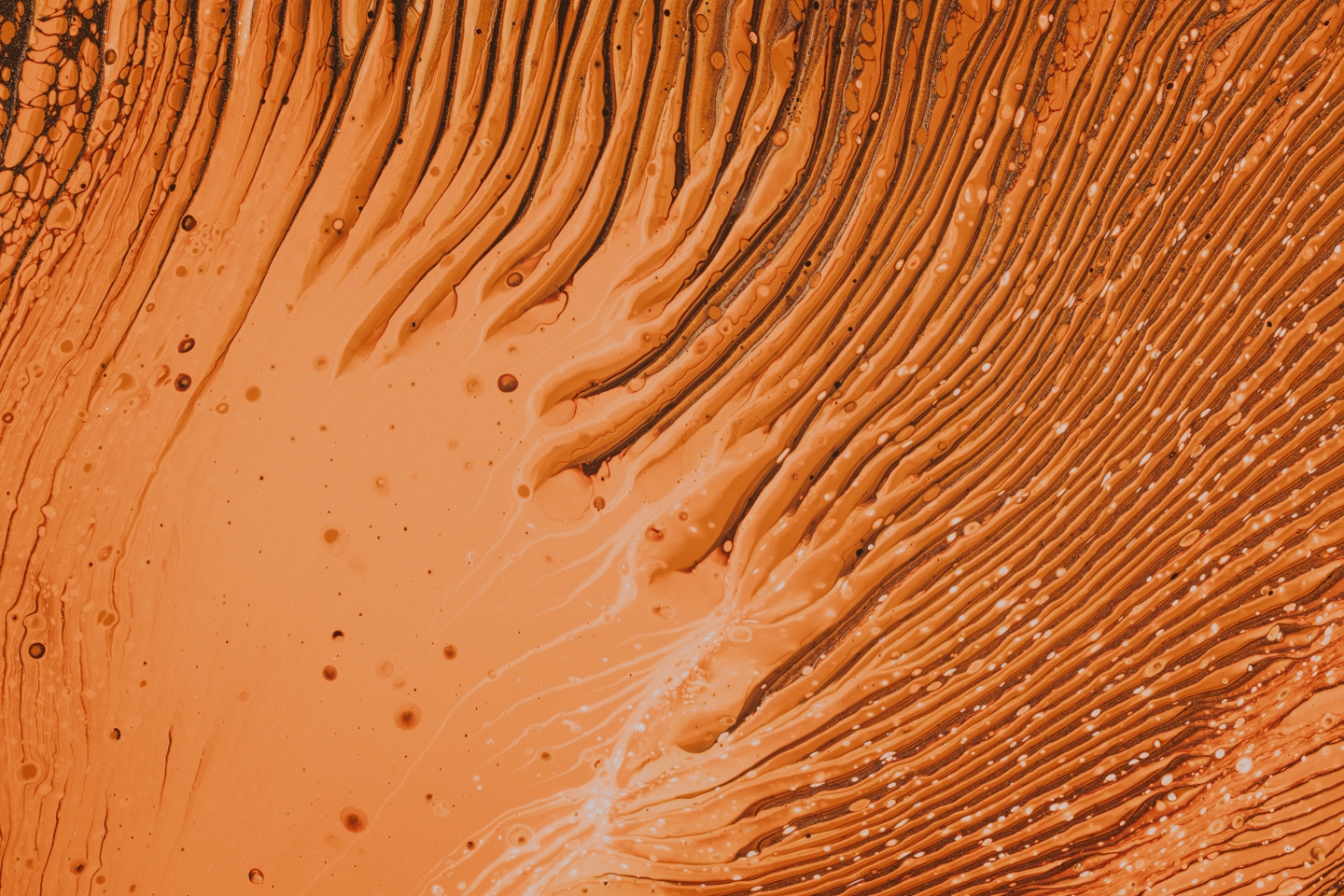 orange sand dune
