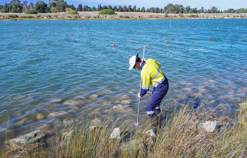 Champion_Lakes_Mid-Moz_Sampling_Perth_WA_02 (3).jpg