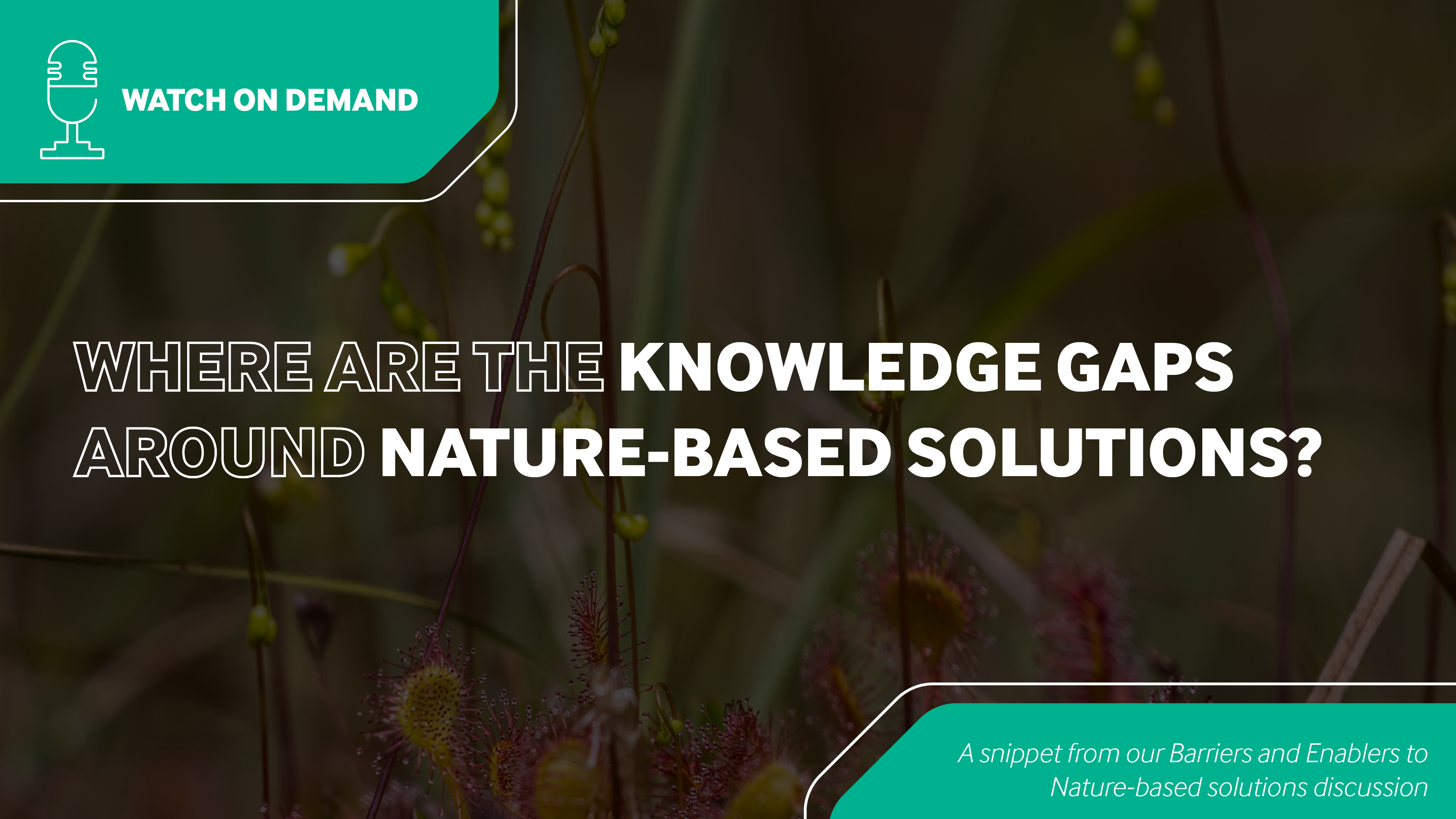 Knowledge gaps around NbS.png