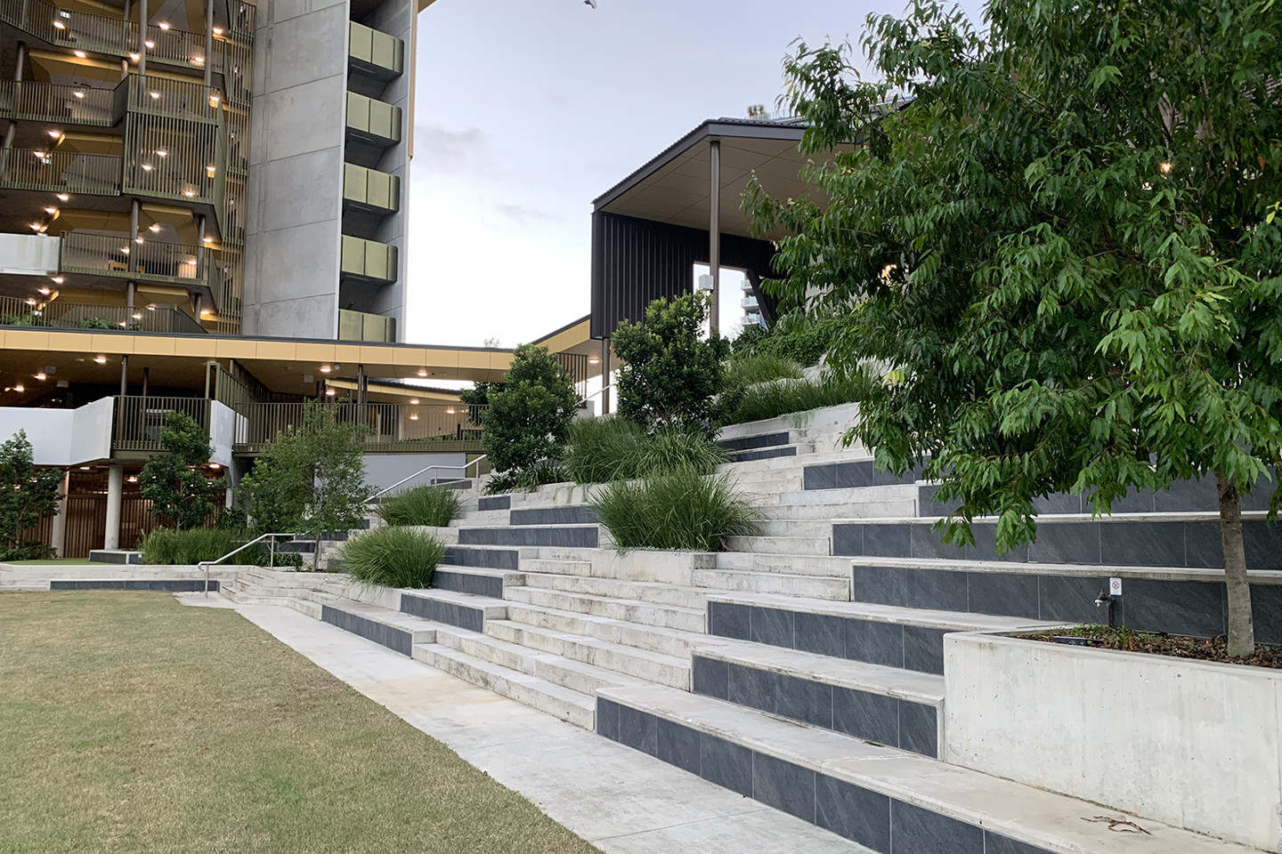 Stairs with greenery and trees by the playing field of Fortitude Valley State Secondary College