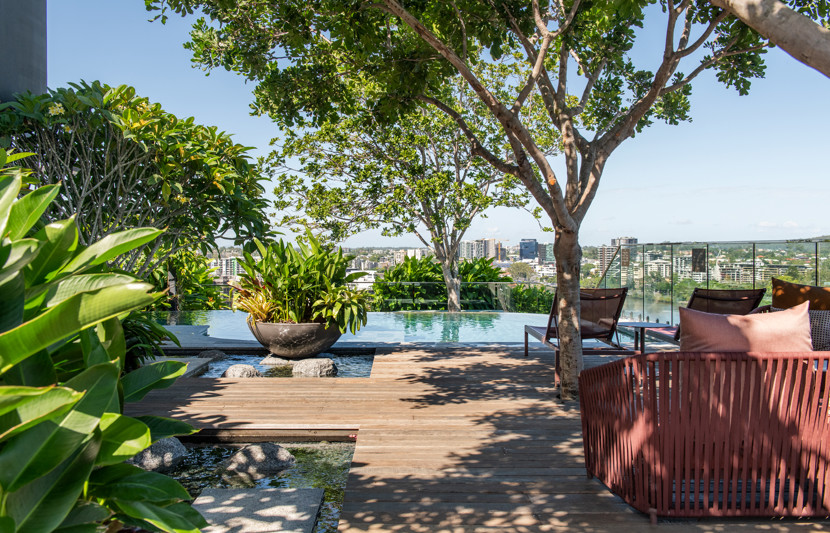 Tree house with plants, trees and a swimming pool over looking Davies Park in Brisbane’s West End. 