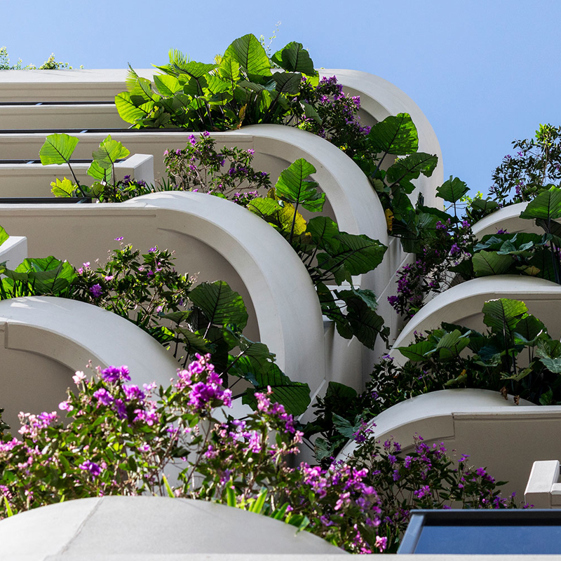 TreeHouse residential building exterior