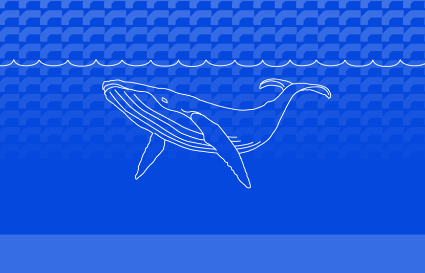 Whale image, artwork: RPS