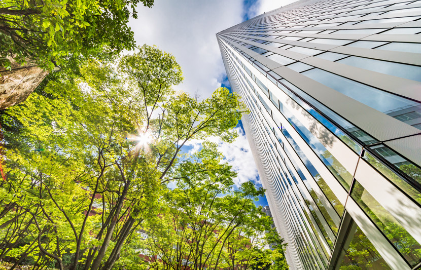 Mirrored high rise office building next to tall green trees