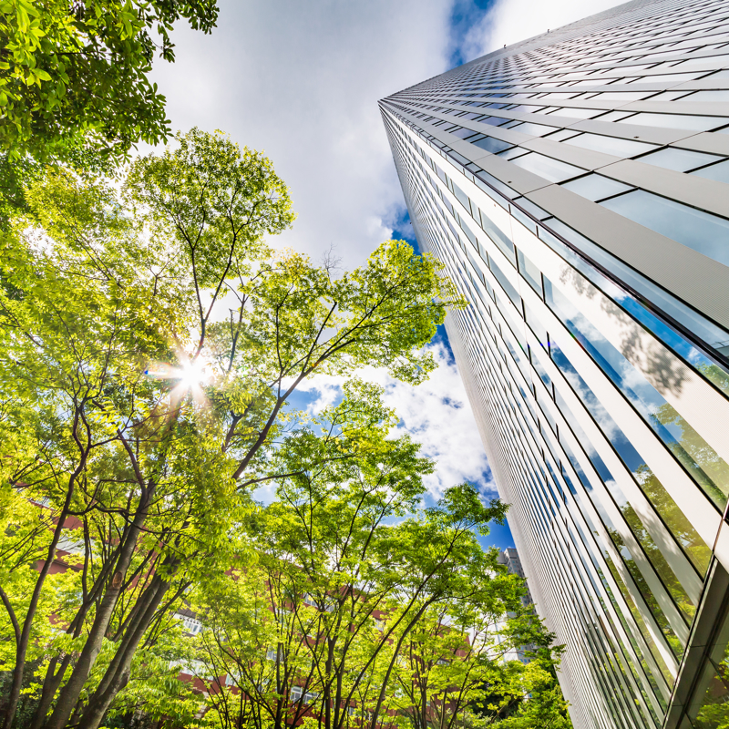 Mirrored high rise office building next to tall green trees