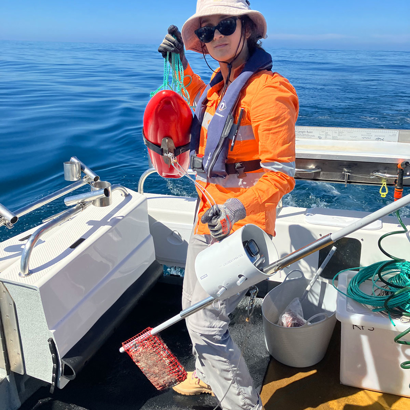 RPS Marine Scientist Alex D'Cruz surveying pelagic fish off Victoria's Gippsland coast