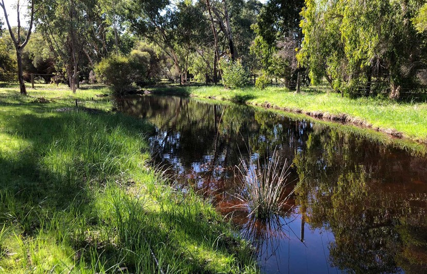 RPS undertook water assessments and hydrology services at Brabham Estate in WA