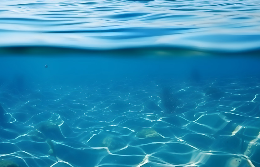 the surface and under the blue ocean.jpg