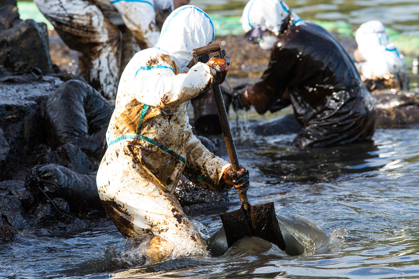 Wakashio oil spill - volunteers cleaning up along the coast of Mauritius