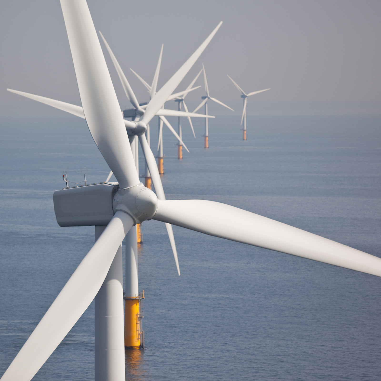 Race Bank offshore wind farm