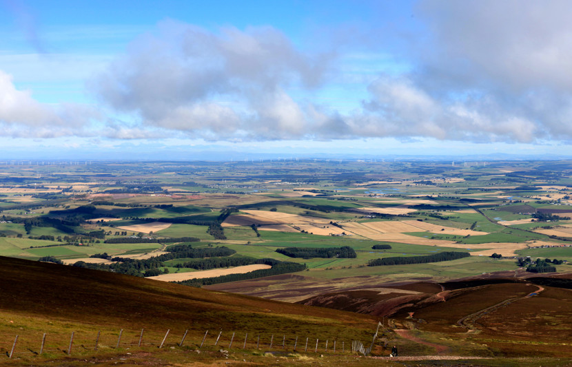 View of the Heathland Wind Farm