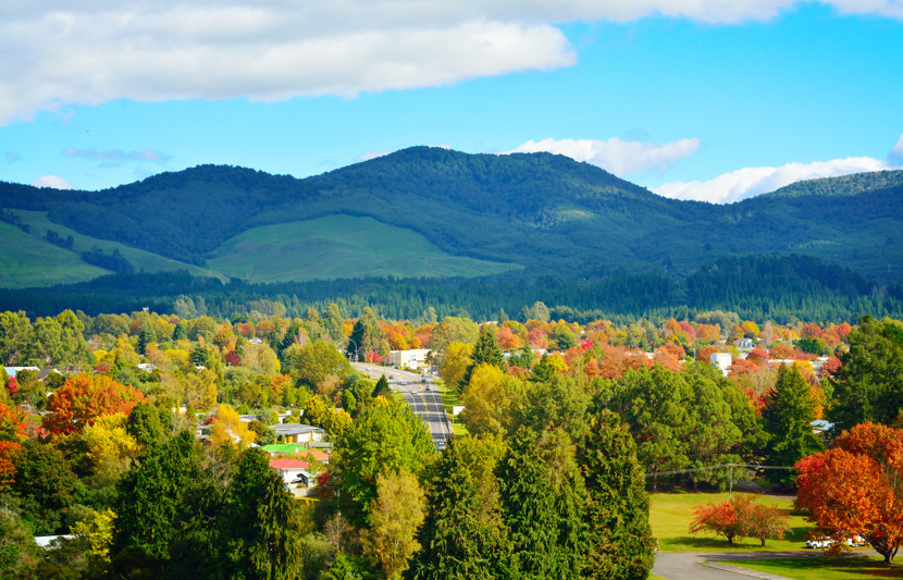 Trees and mountains in Turangi, New Zealand