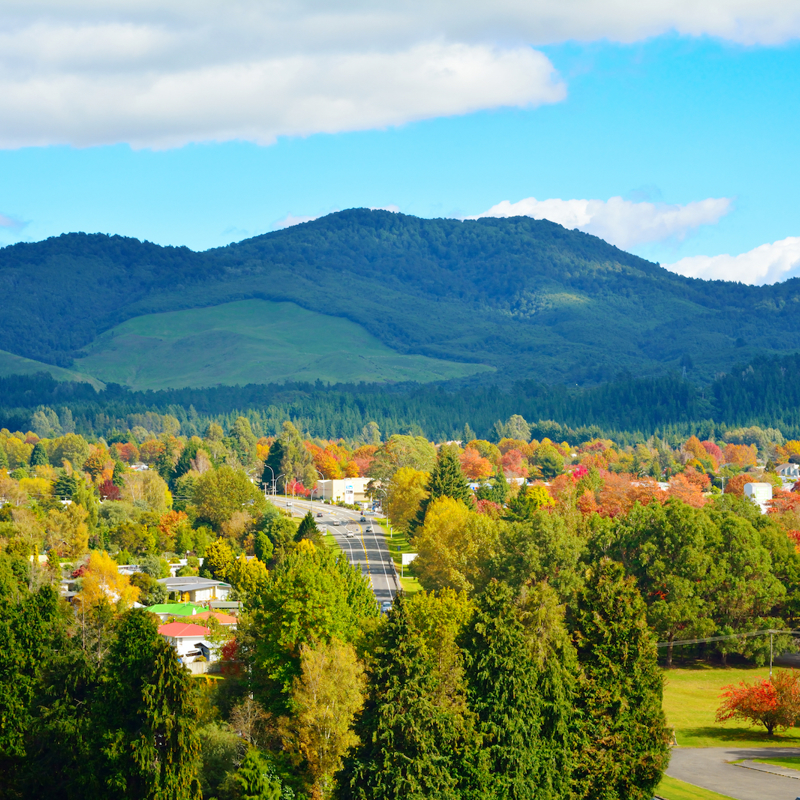 Trees and mountains in Turangi, New Zealand