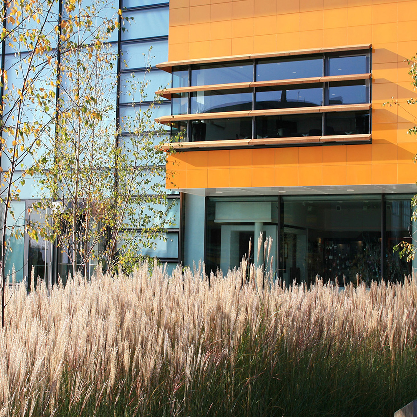 View of an orange building