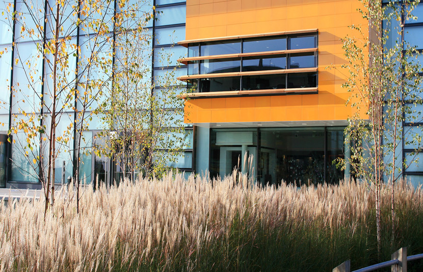 View of an orange building