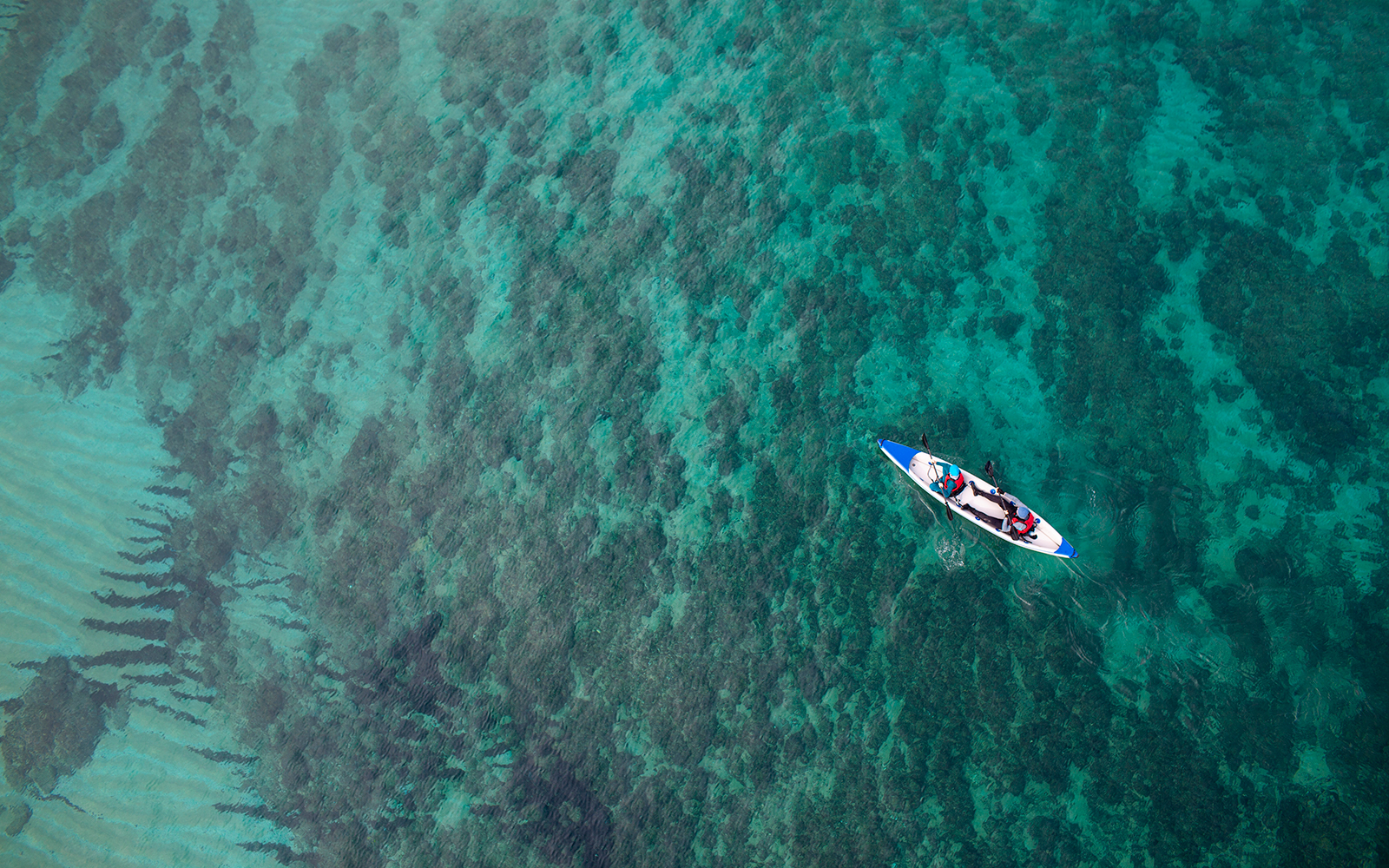 ocean with boat