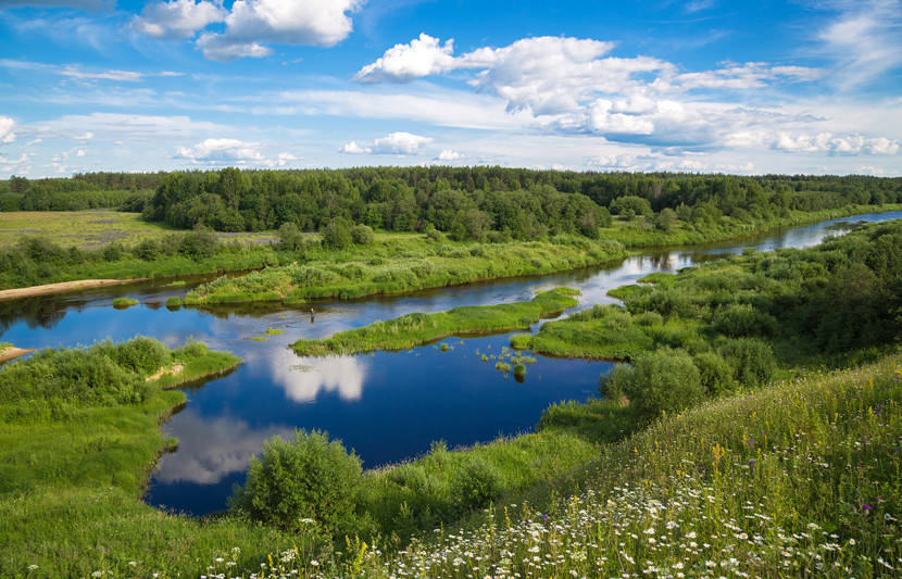 Beautiful summer rural landscape with a river. 