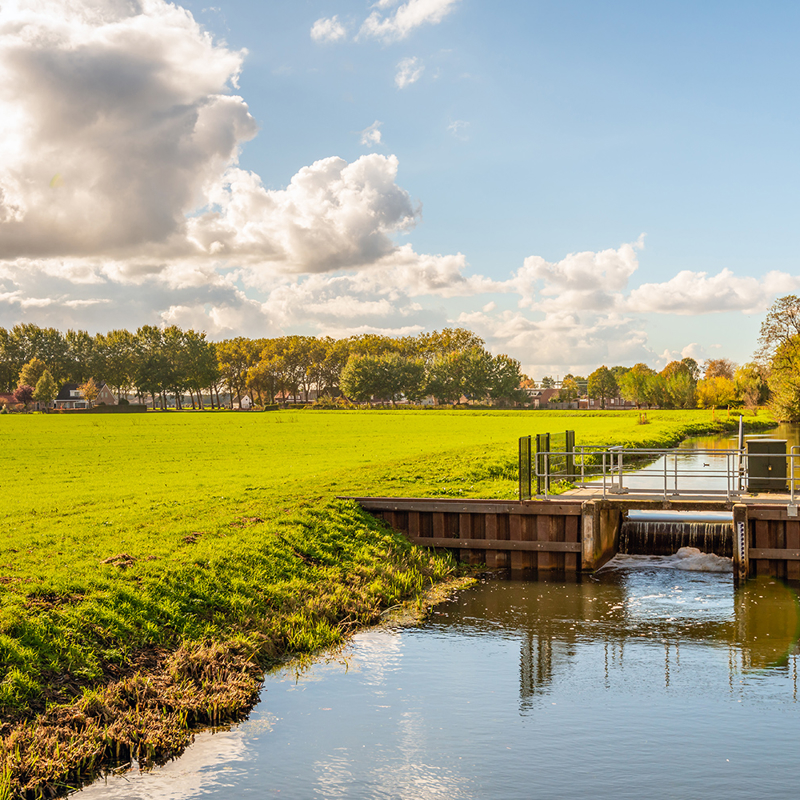 iStock-1064174508_1600x1000px.jpeg