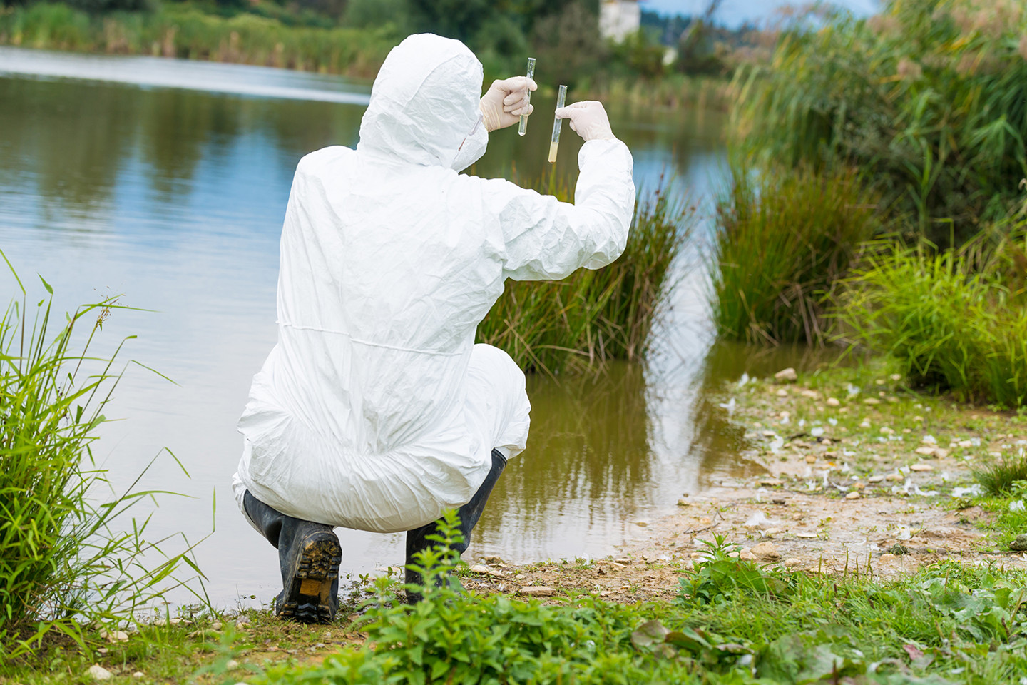 Scientist examing water