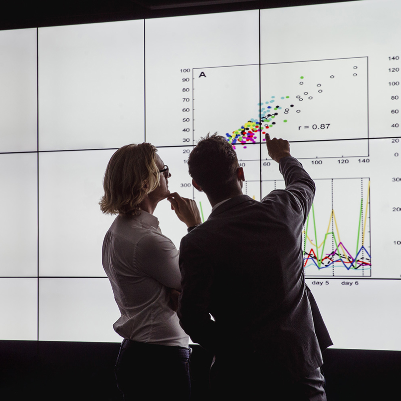 Economics advisory consultants analysing a financial insights graph