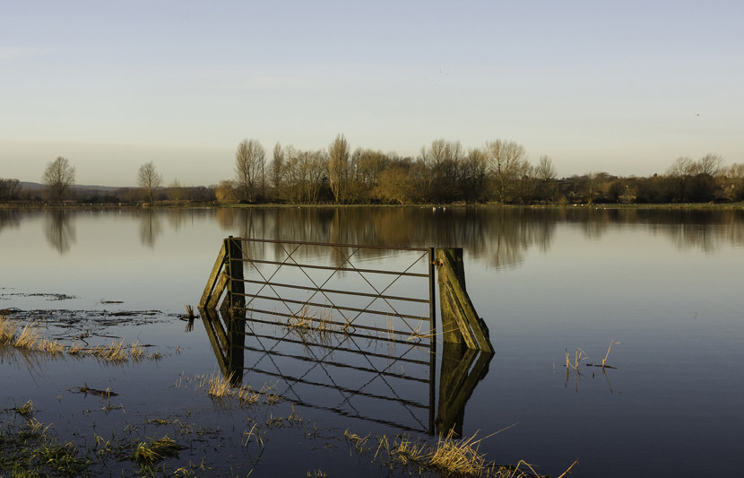 Body of water with a gate and countryside