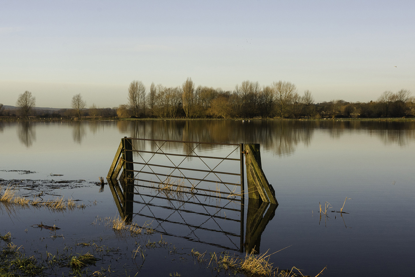 Body of water with a gate and countryside
