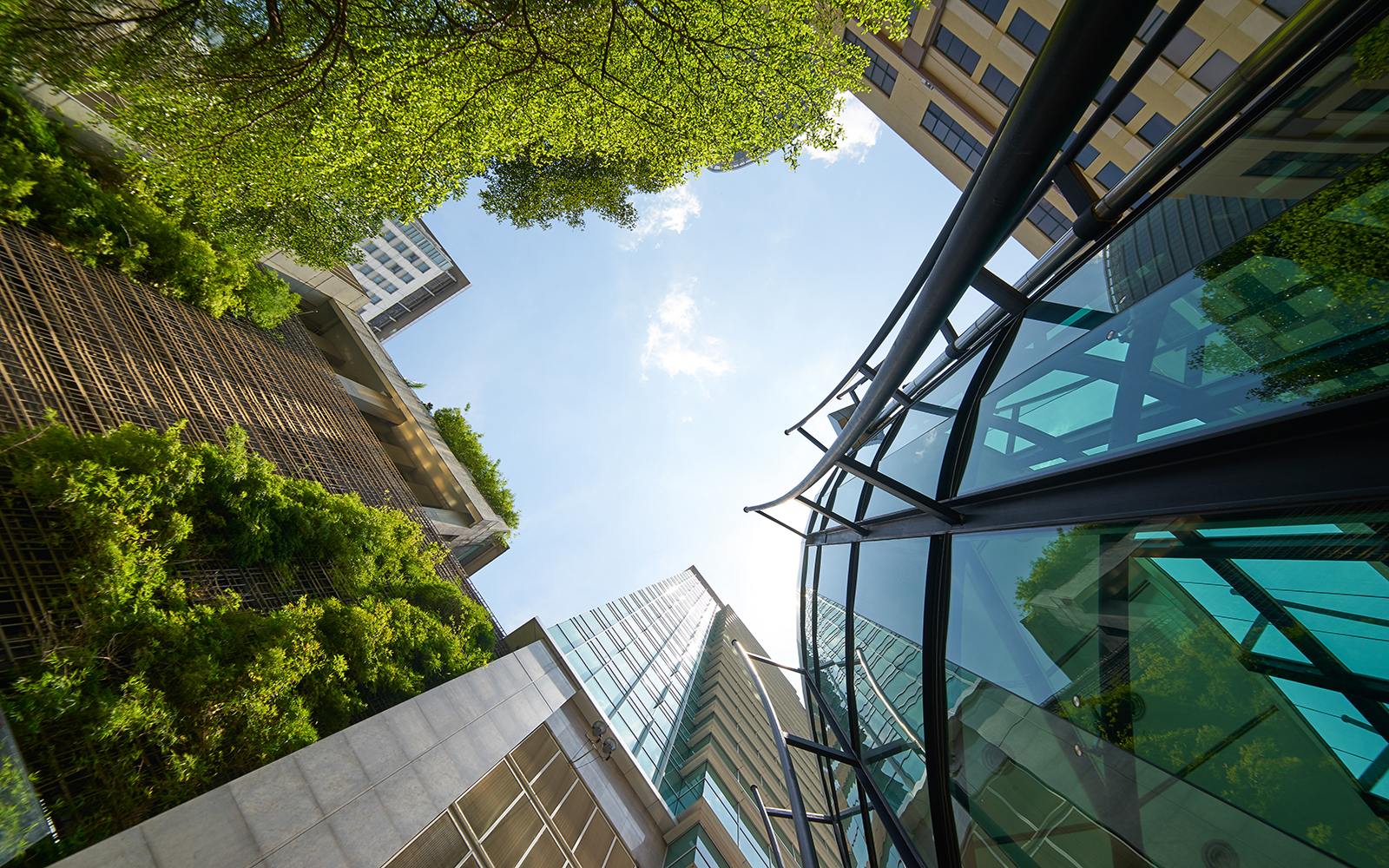Ground up view of city buildings with gardens and trees