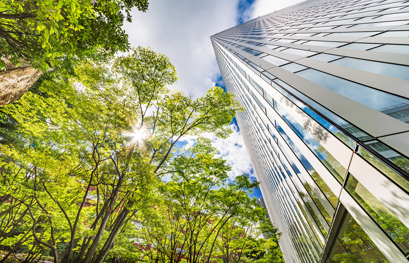 Green trees next to commercial building - sustainable building