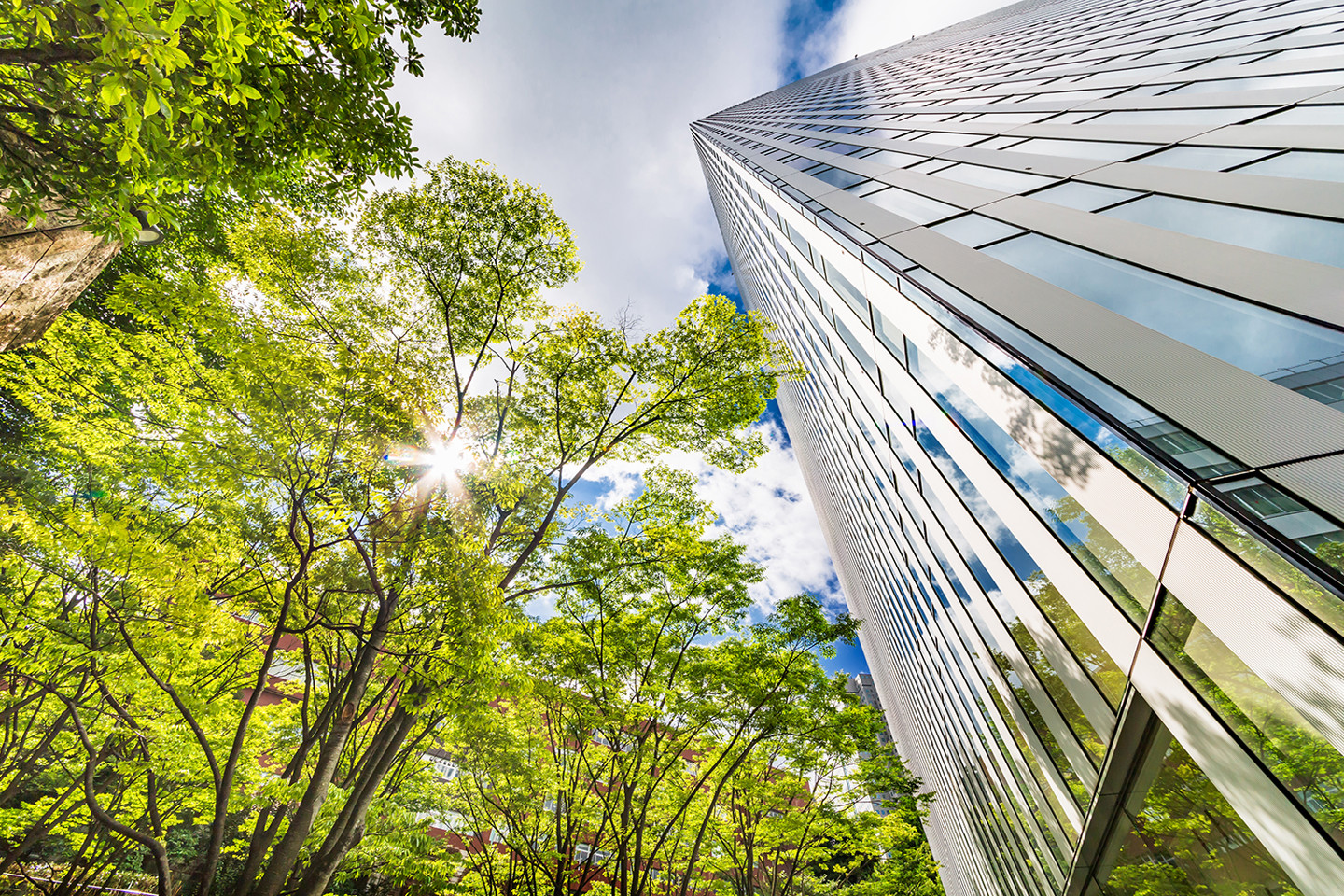 Green trees next to commercial building - sustainable building