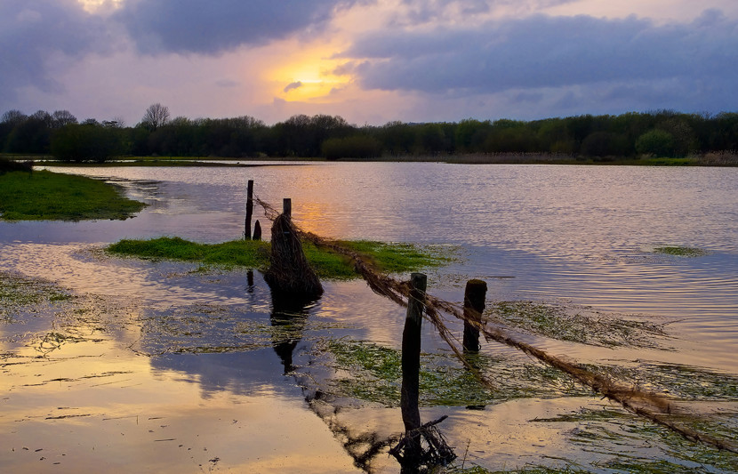 flooding 1600x1000.jpg