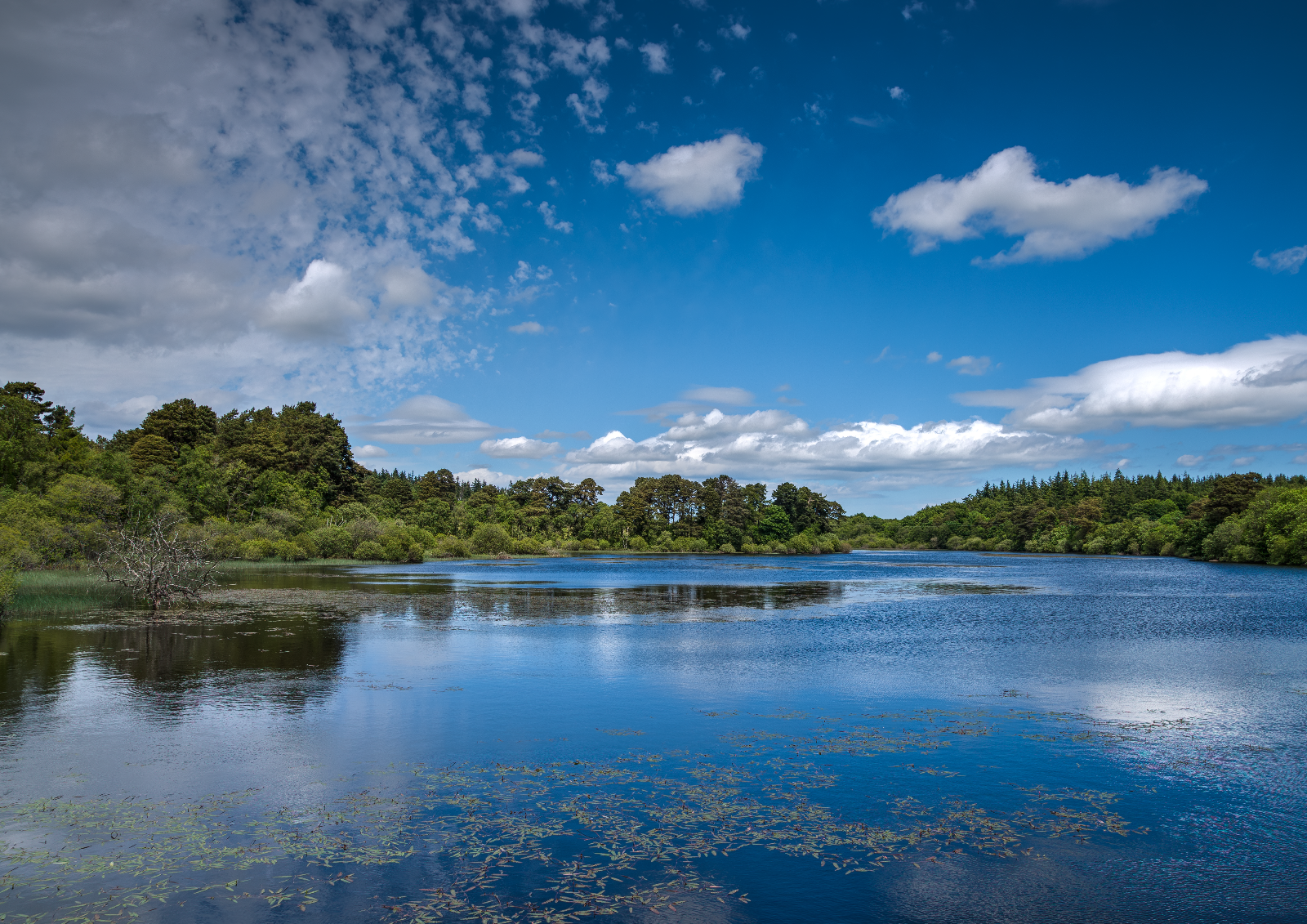 Water-iStock_73025475_Websize.png