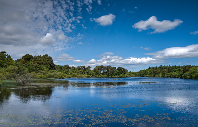 Water-iStock_73025475_Websize.png