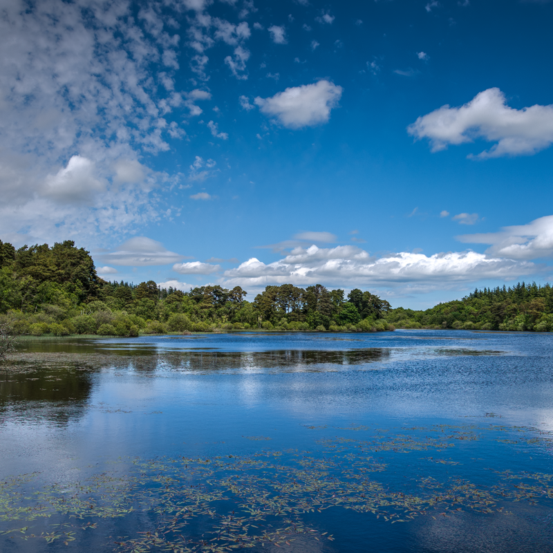 Water-iStock_73025475_Websize.png