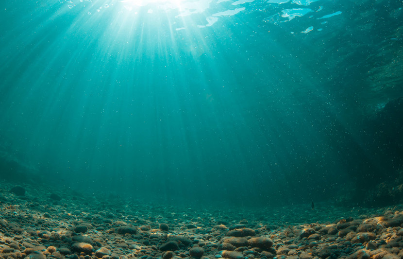 Improving Visibility Forecasts for ROV Operations