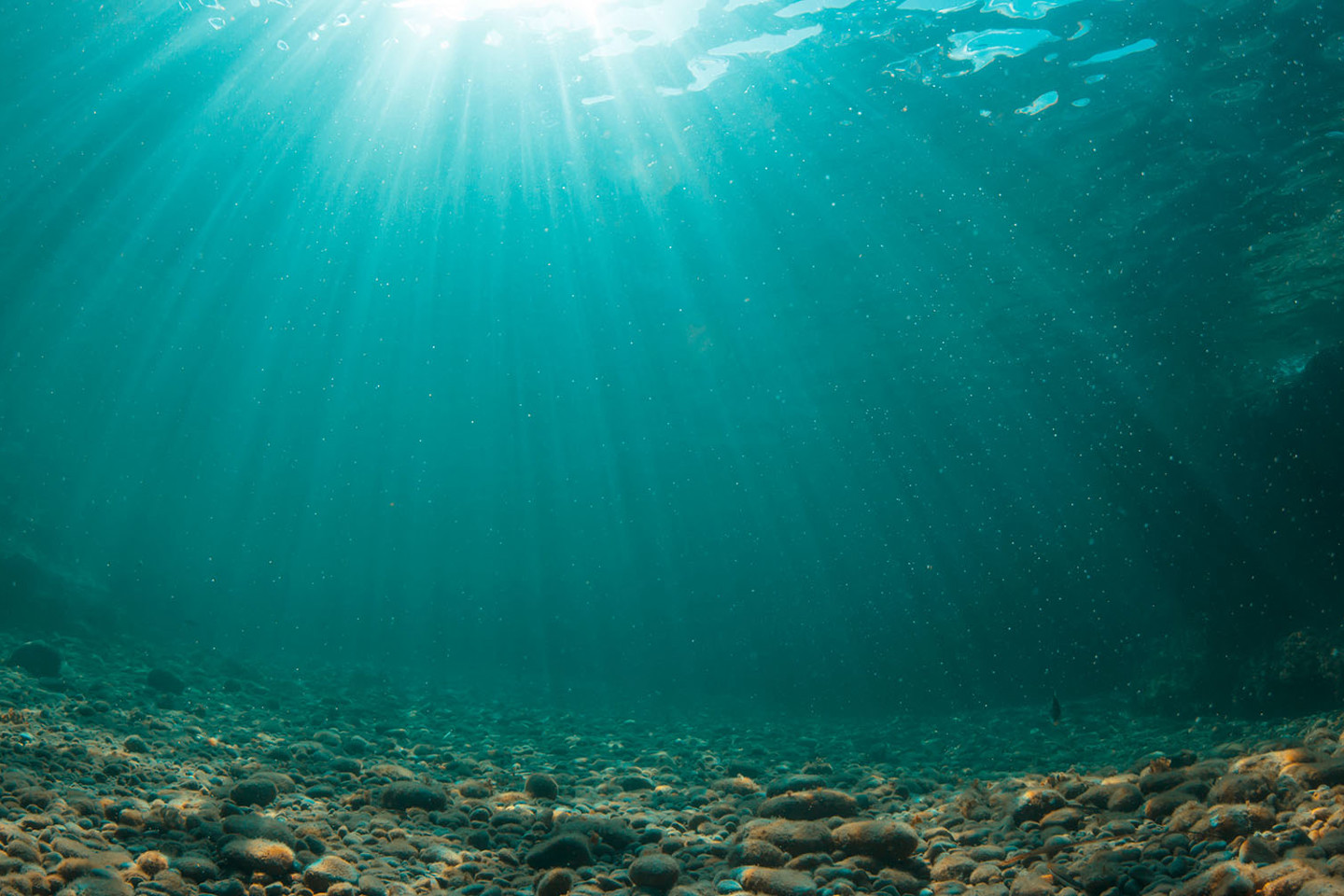 Improving Visibility Forecasts for ROV Operations