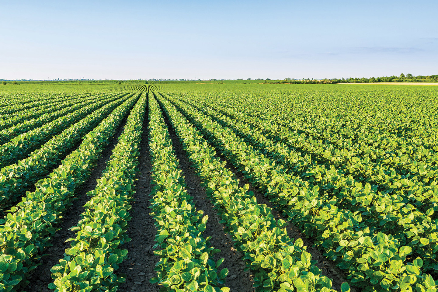 rps-laboratories---glyphosate-and-ampa-2.jpg