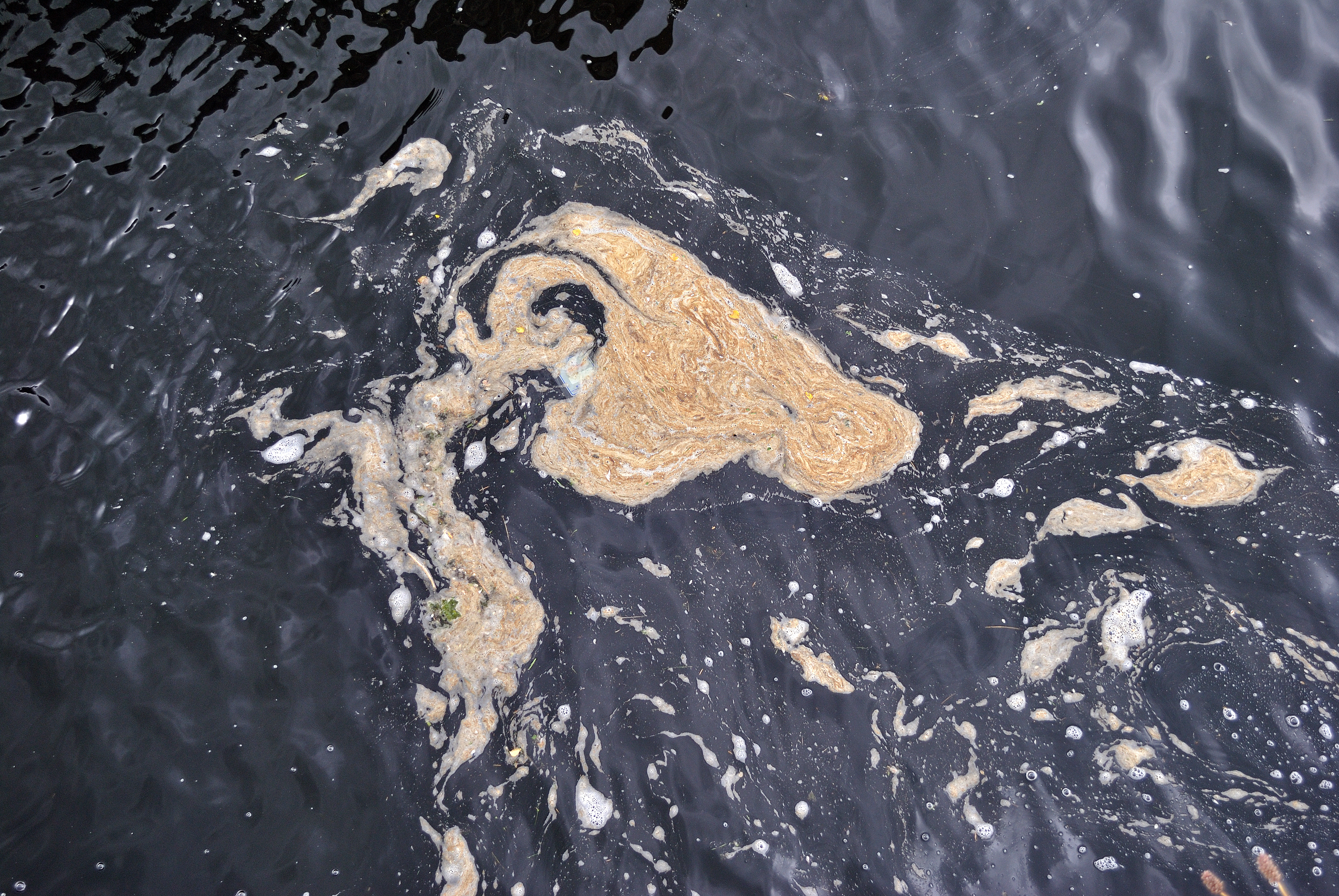 Pollution 01 shutterstock_1728617485.jpg