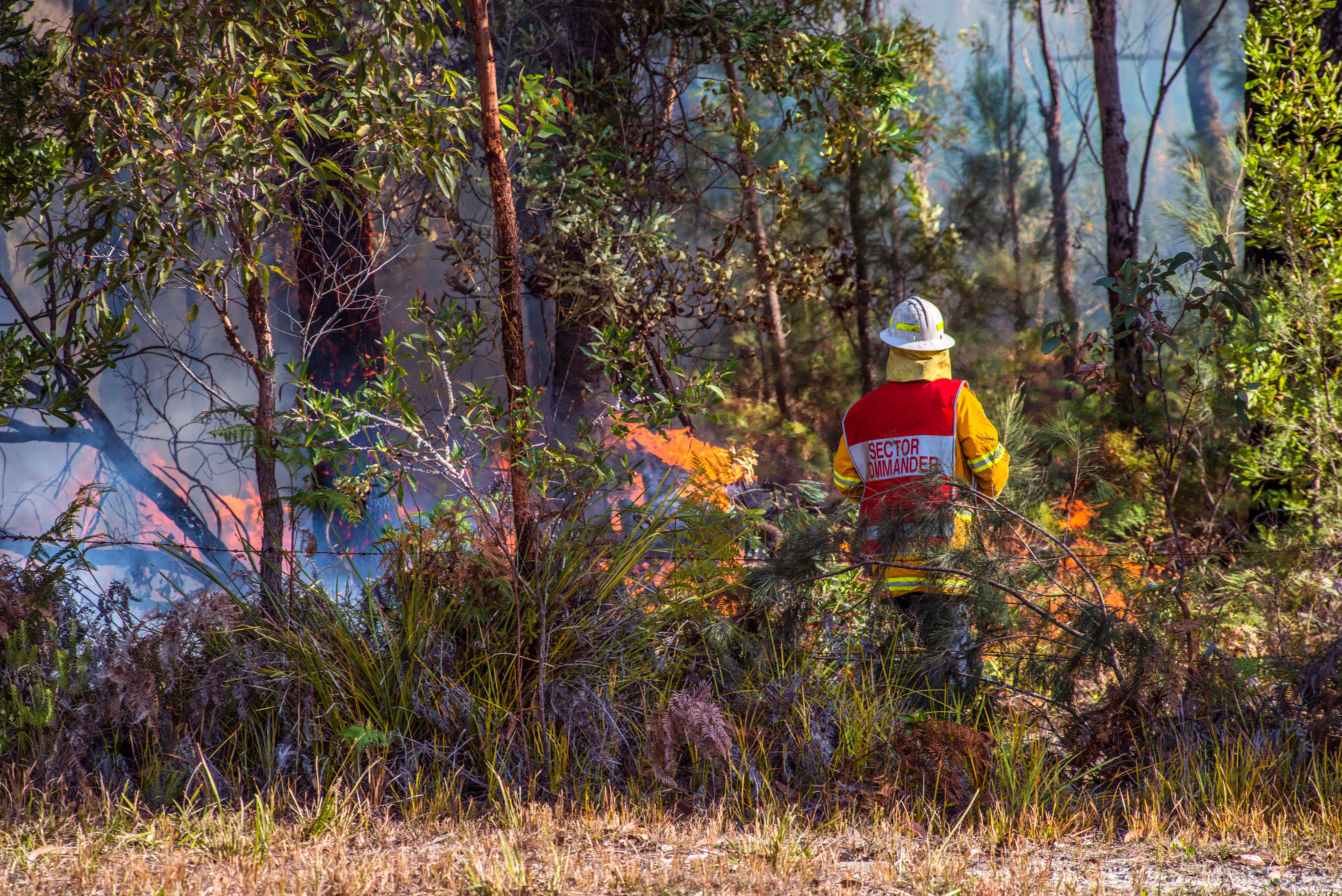 Bushfire prescribed burn