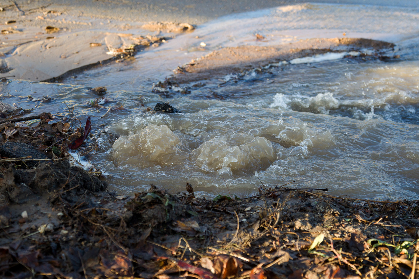 Sewer flooding shutterstock_1679270968.jpg
