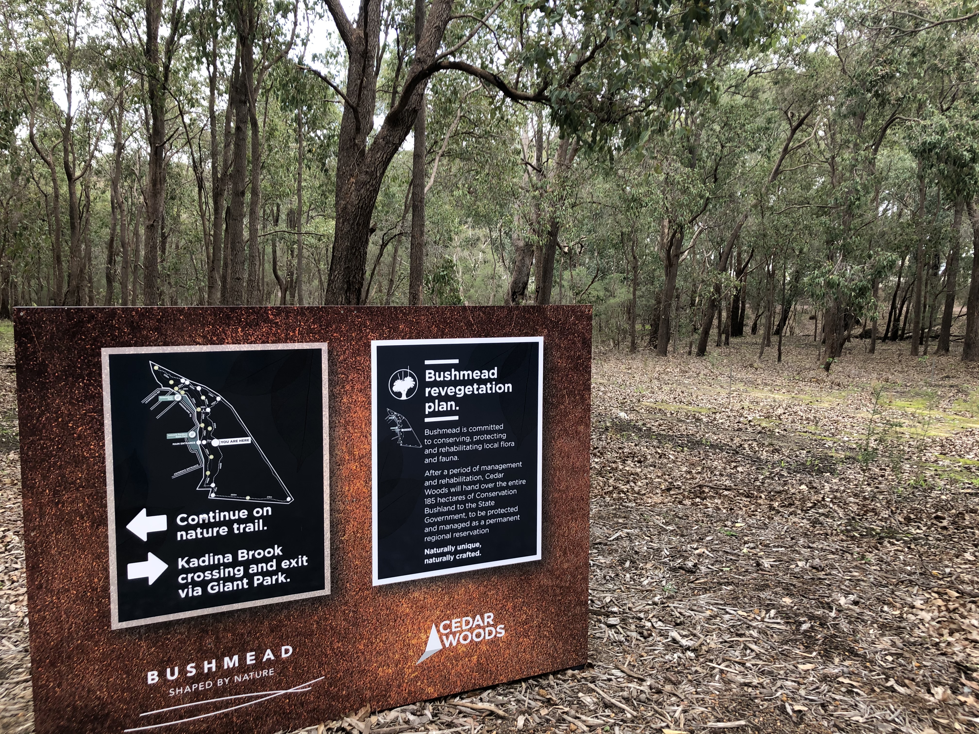 Nature trail through leafy Bushmead