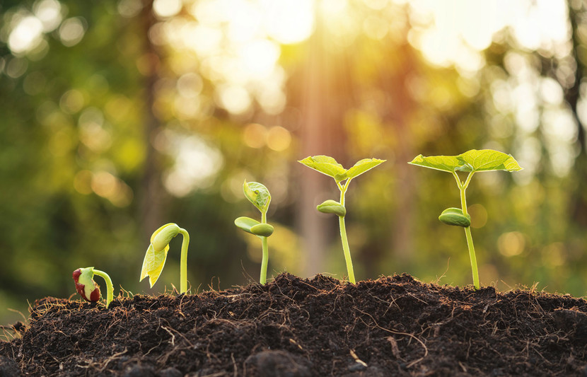 Green investing