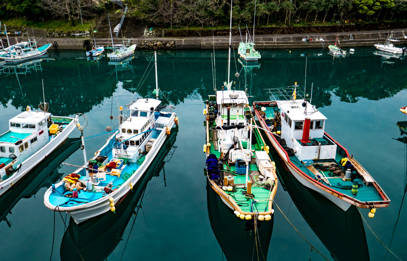 fishing boats