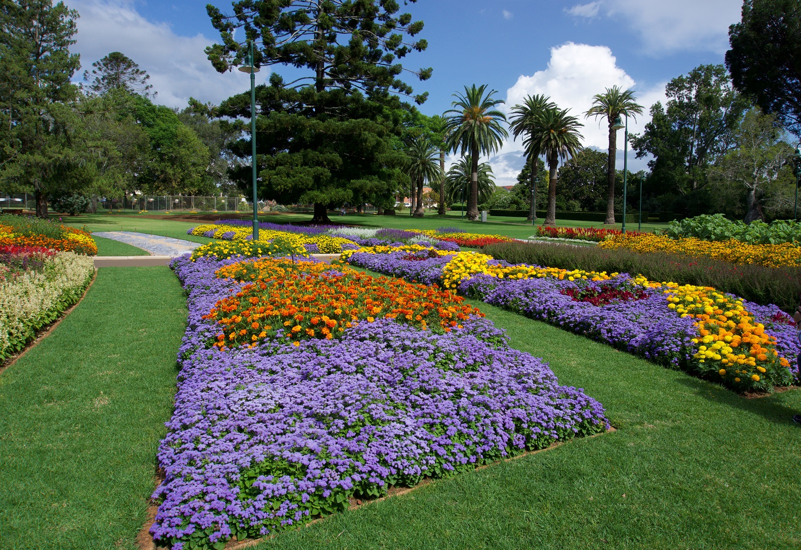 Park garden in Toowoomba, regional Queensland