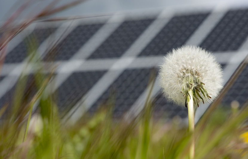 Photovoltaic solar energy generation system on display in a solar farm