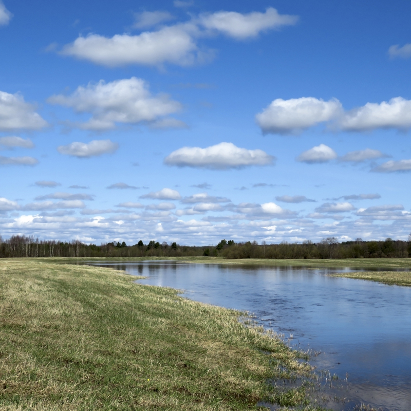 landscape flood.jpg