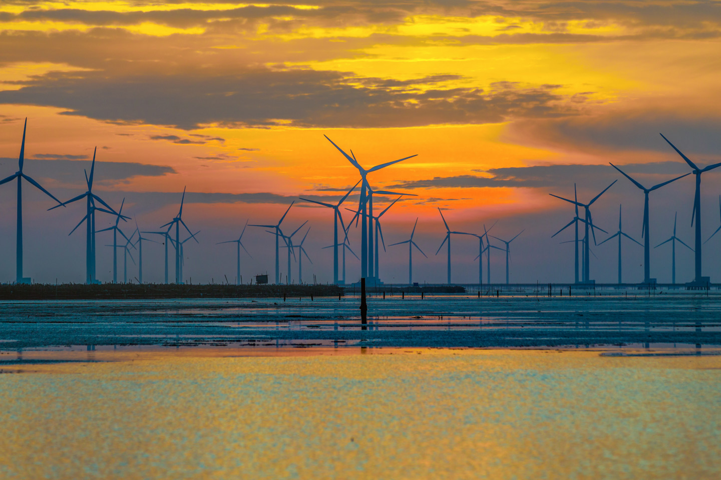 Offshore wind project Vietnam