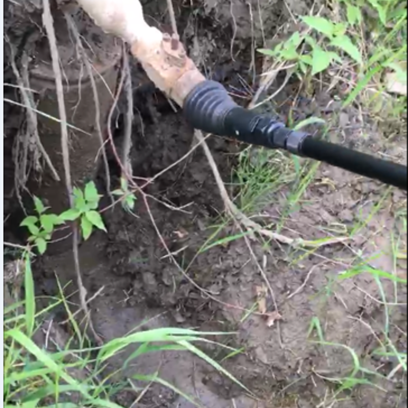 the wellhead